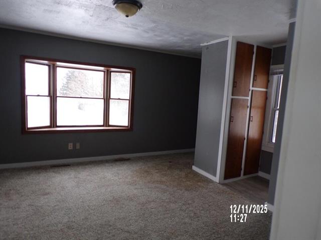 Builiding view four for 305 Pine, Big Rapids, MI. 49307