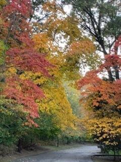 Builiding view thirty two for 6587 Waybridge, Grand Rapids, MI. 49546