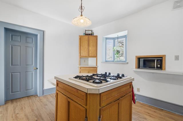 Builiding view seventeen for 439 N Reese, South Lyon, MI. 48178