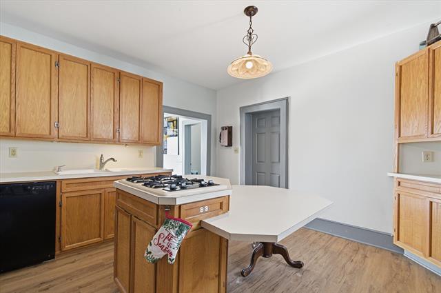 Builiding view sixteen for 439 N Reese, South Lyon, MI. 48178