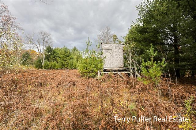 Builiding view eighteen for 23763 11 Mile, Big Rapids, MI. 49307