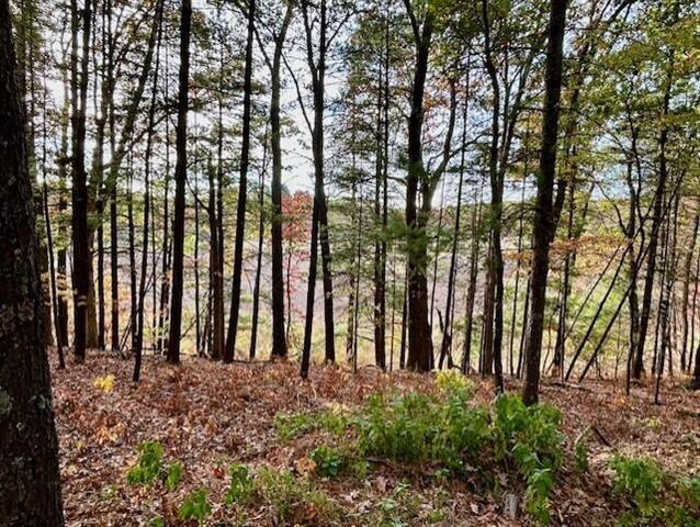 Builiding view thirty nine for 3801 Sweet Lake, Twin Lake, MI. 49457