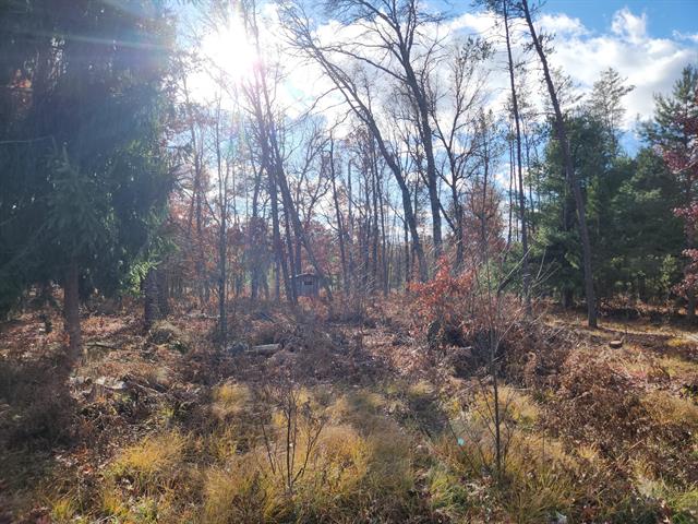 Builiding view twenty three for 9279 Forman, Baldwin, MI. 49304