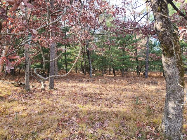 Builiding view twenty two for 9279 Forman, Baldwin, MI. 49304