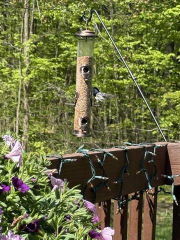 Builiding view five for 2885 Hidden View, Caledonia, MI. 49316