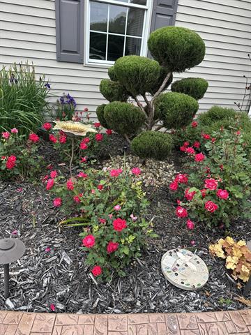 Builiding view fifty five for 70825 Adamsville, Edwardsburg, MI. 49112