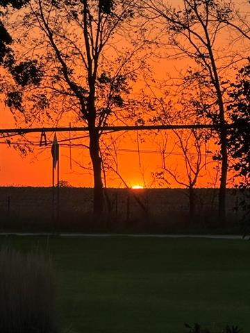 Builiding view fifty three for 70825 Adamsville, Edwardsburg, MI. 49112