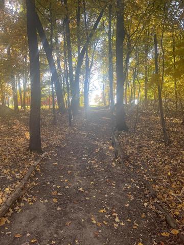 Builiding view fifty two for 70825 Adamsville, Edwardsburg, MI. 49112