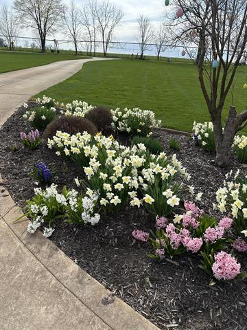 Builiding view forty eight for 70825 Adamsville, Edwardsburg, MI. 49112