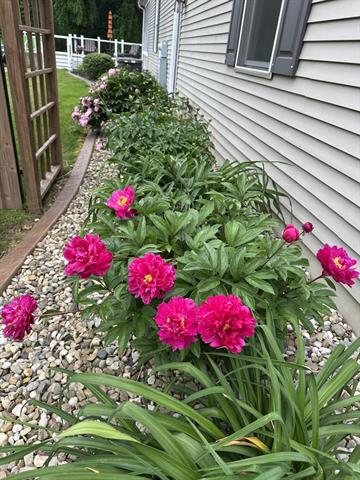 Builiding view forty five for 70825 Adamsville, Edwardsburg, MI. 49112