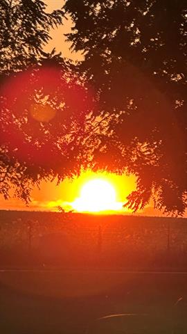 Builiding view forty four for 70825 Adamsville, Edwardsburg, MI. 49112