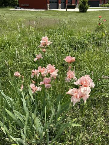 Builiding view forty seven for 70825 Adamsville, Edwardsburg, MI. 49112