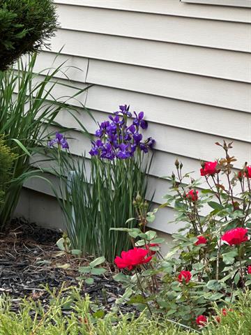 Builiding view forty six for 70825 Adamsville, Edwardsburg, MI. 49112