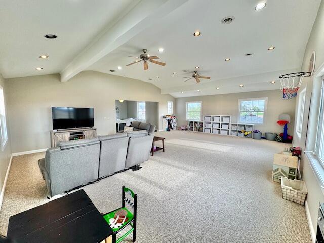 Builiding view fifty eight for 13773 Saubee, Lake Odessa, MI. 48849