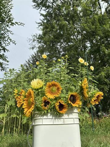 Builiding view fifty nine for 501 Oakleigh, Grand Rapids, MI. 49504