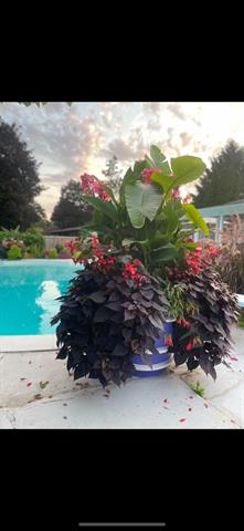 Builiding view sixty five for 501 Oakleigh, Grand Rapids, MI. 49504