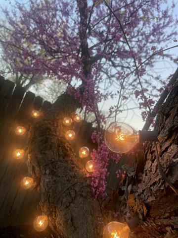 Builiding view sixty four for 501 Oakleigh, Grand Rapids, MI. 49504