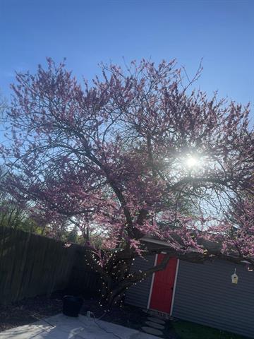 Builiding view sixty one for 501 Oakleigh, Grand Rapids, MI. 49504