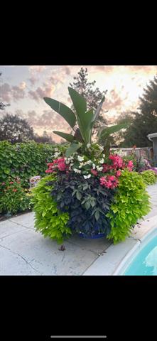 Builiding view sixty six for 501 Oakleigh, Grand Rapids, MI. 49504