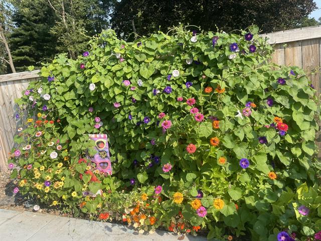 Builiding view sixty three for 501 Oakleigh, Grand Rapids, MI. 49504