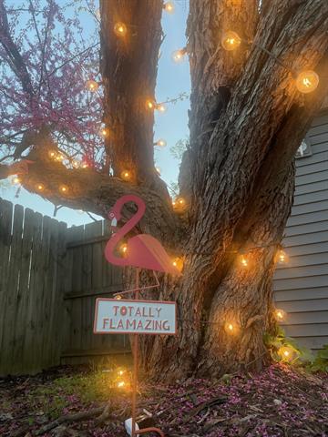 Builiding view sixty two for 501 Oakleigh, Grand Rapids, MI. 49504