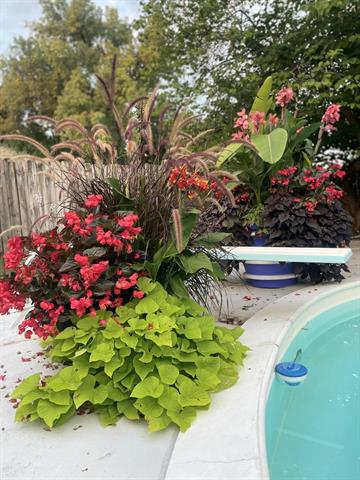 Builiding view three for 501 Oakleigh, Grand Rapids, MI. 49504