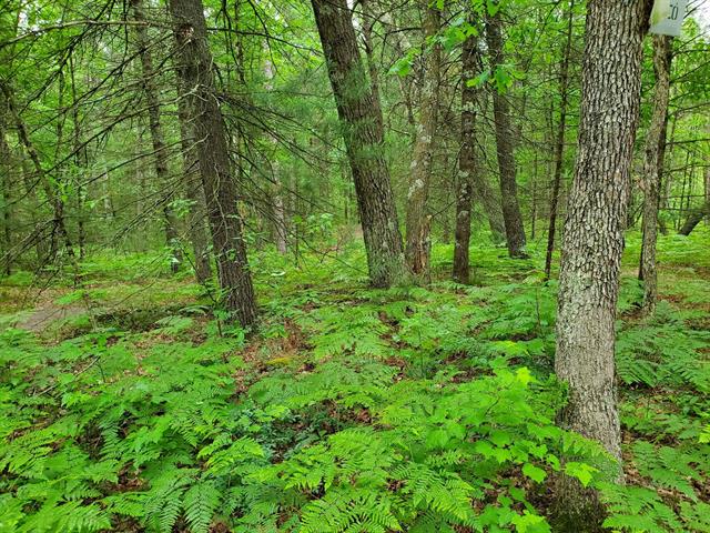 Builiding view nine for 5242 Forest, Baldwin, MI. 49304