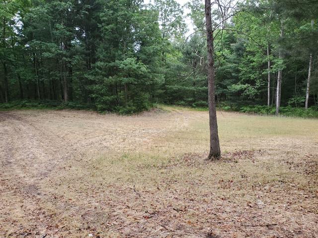 Builiding view seven for 5242 Forest, Baldwin, MI. 49304