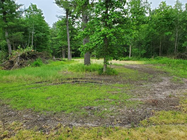 Builiding view ten for 5242 Forest, Baldwin, MI. 49304