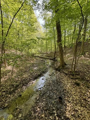 Builiding view forty one for 6629 East, Three Oaks, MI. 49128