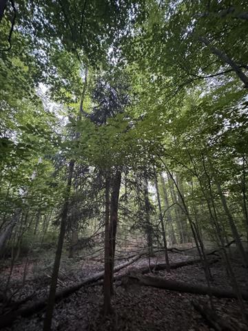 Builiding view thirty one for 6629 East, Three Oaks, MI. 49128