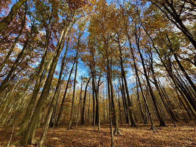 Builiding view twenty eight for 6629 East, Three Oaks, MI. 49128