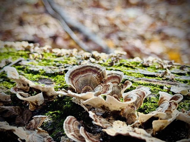 Builiding view twenty nine for 6629 East, Three Oaks, MI. 49128