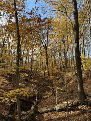 Builiding view twenty seven for 6629 East, Three Oaks, MI. 49128