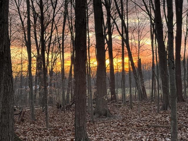 Builiding view twenty six for 6629 East, Three Oaks, MI. 49128