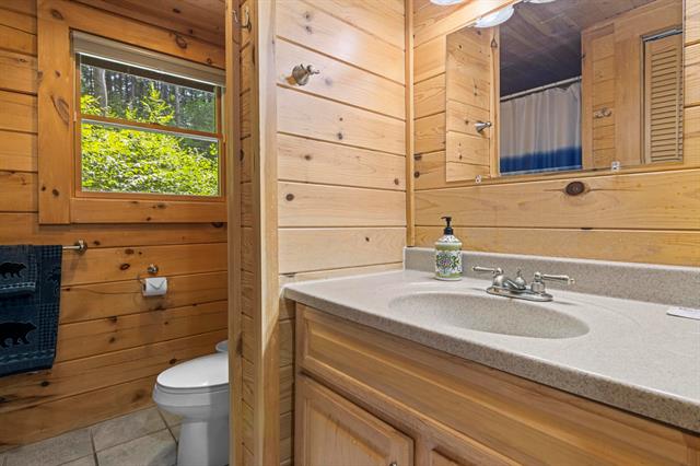 Builiding view fourteen for 5845 West Village Drive, Bellaire, MI. 49615