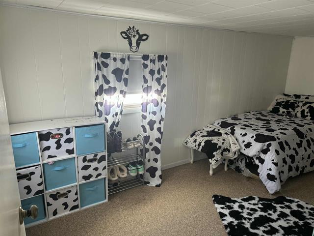 Builiding view forty seven for 515 Bridge, Big Rapids, MI. 49307