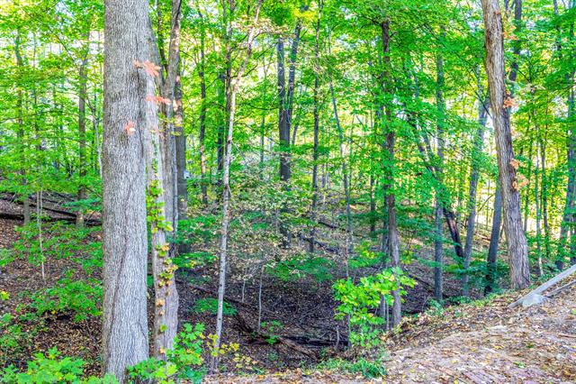 Builiding view thirty five for 1686 Herrity, Ionia, MI. 48846