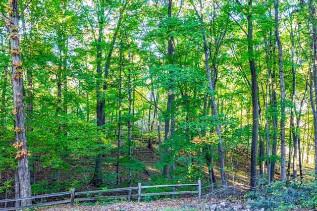 Builiding view thirty four for 1686 Herrity, Ionia, MI. 48846