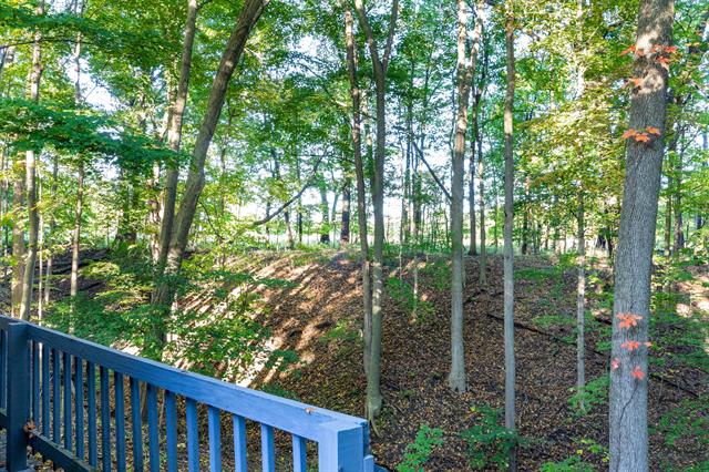 Builiding view thirty one for 1686 Herrity, Ionia, MI. 48846