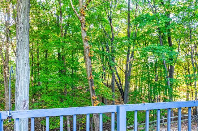 Builiding view thirty two for 1686 Herrity, Ionia, MI. 48846