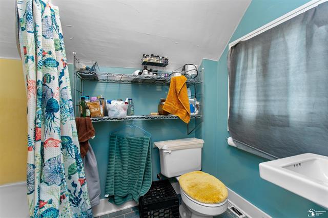 Builiding view nineteen for 224 Cherry, Blissfield, MI. 49228