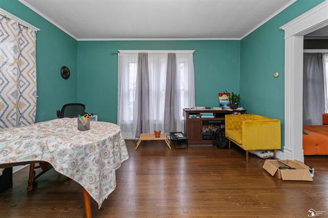 Builiding view seventeen for 224 Cherry, Blissfield, MI. 49228