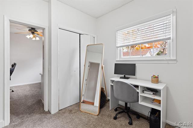 Builiding view eighteen for 215 Oneida, Tecumseh, MI. 49286