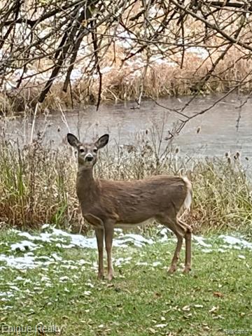 Builiding view thirty four for 1 Chelsea, Metamora, MI. 48455