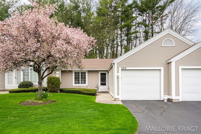 front view for 250 Appletree Lane, Holland, Mi. 49423