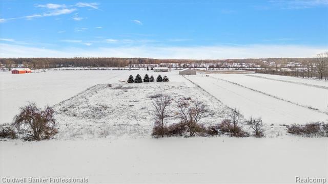 Builiding view eighty nine for 8661 Turner, Imlay City, MI. 48444
