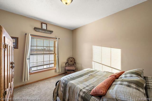 Builiding view twenty nine for 8661 Turner, Imlay City, MI. 48444