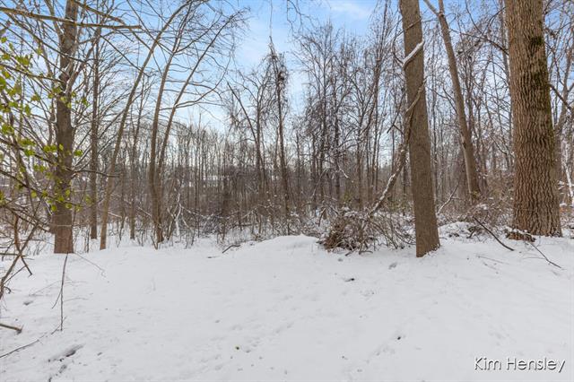 Builiding view fifty eight for 4736 Burton, Grand Rapids, MI. 49546