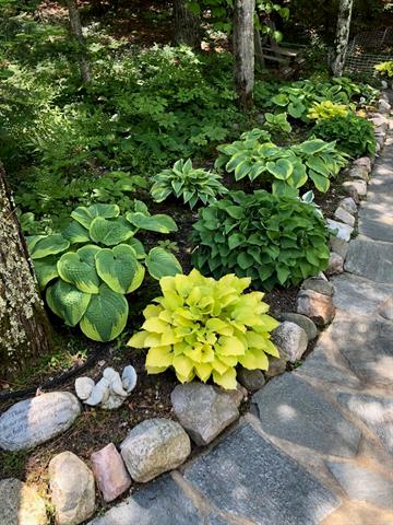 Builiding view forty five for 5635 Leland Woods, Leland, MI. 49654